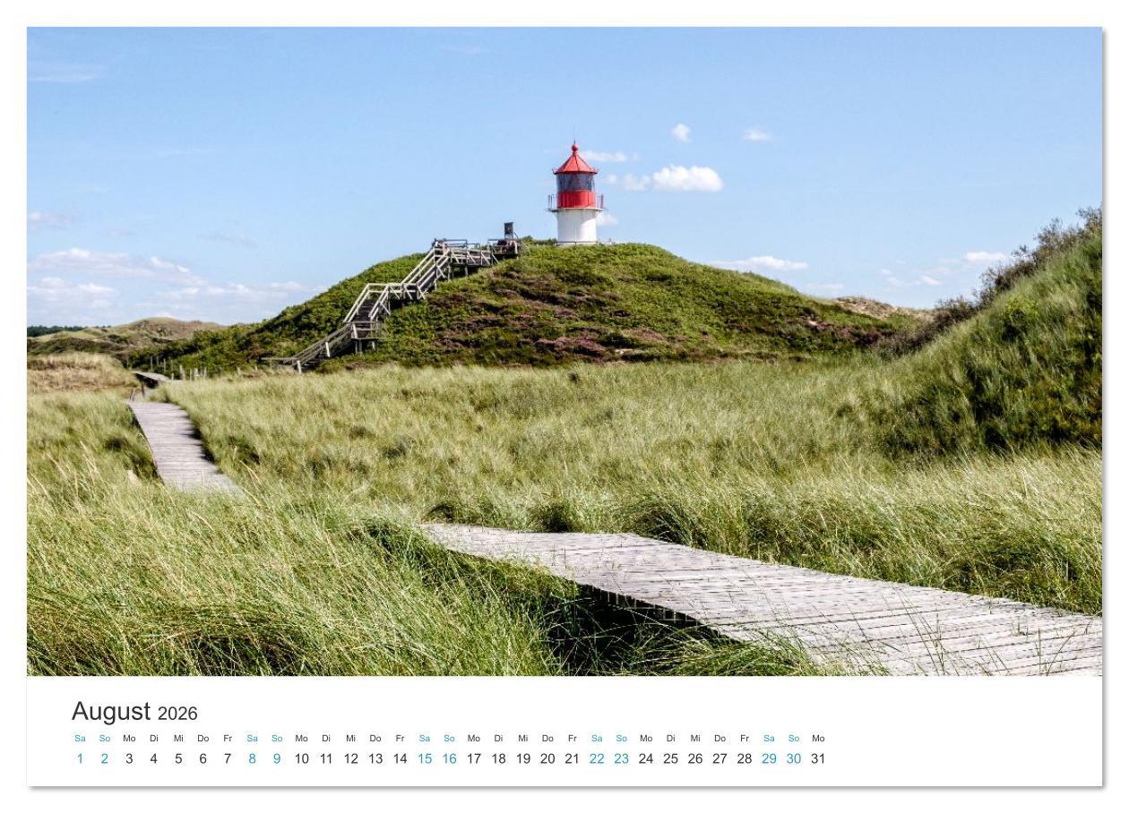 Beispielinhalt (Bild) Amrum: Natur und Freiheit (Wandkalender 2026 DIN A3 quer), CALVENDO Monatskalender
