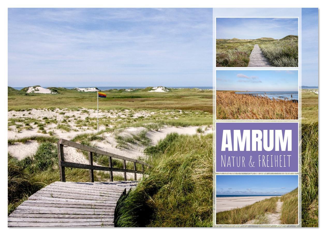 Vorderes Coverbild Amrum: Natur und Freiheit (Wandkalender 2026 DIN A3 quer), CALVENDO Monatskalender