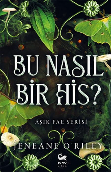 Vorderes Coverbild Bu Nasil Bir His