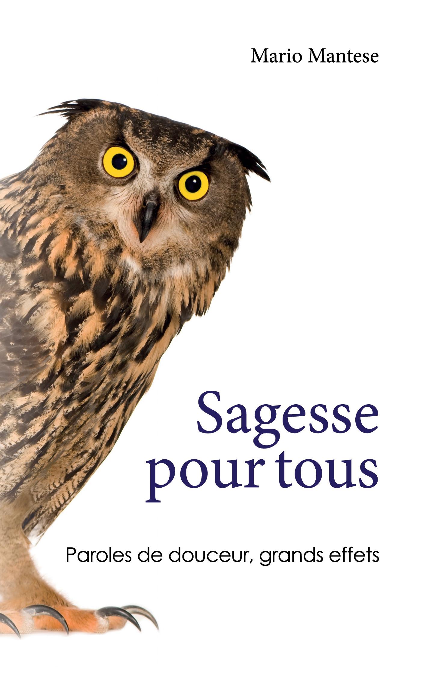 Vorderes Coverbild Sagesse pour tous