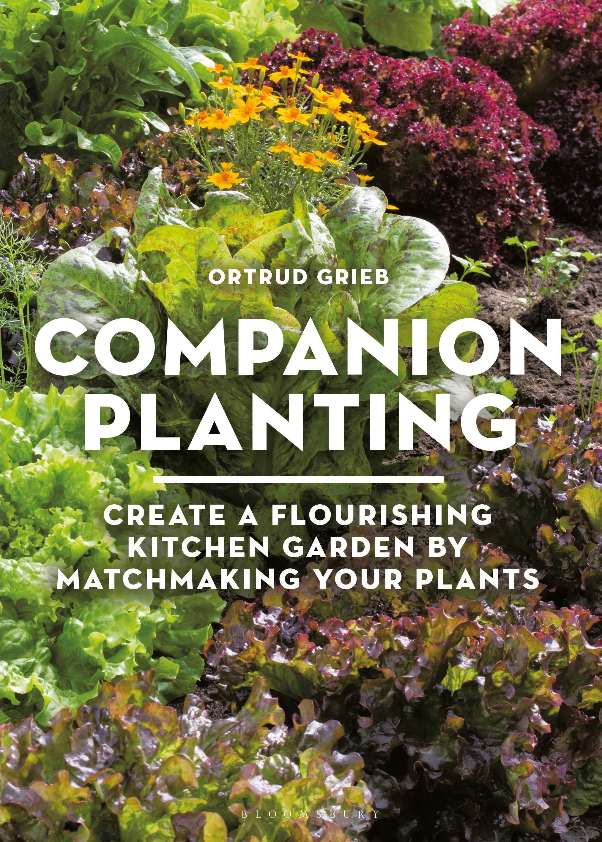 Vorderes Coverbild Companion Planting