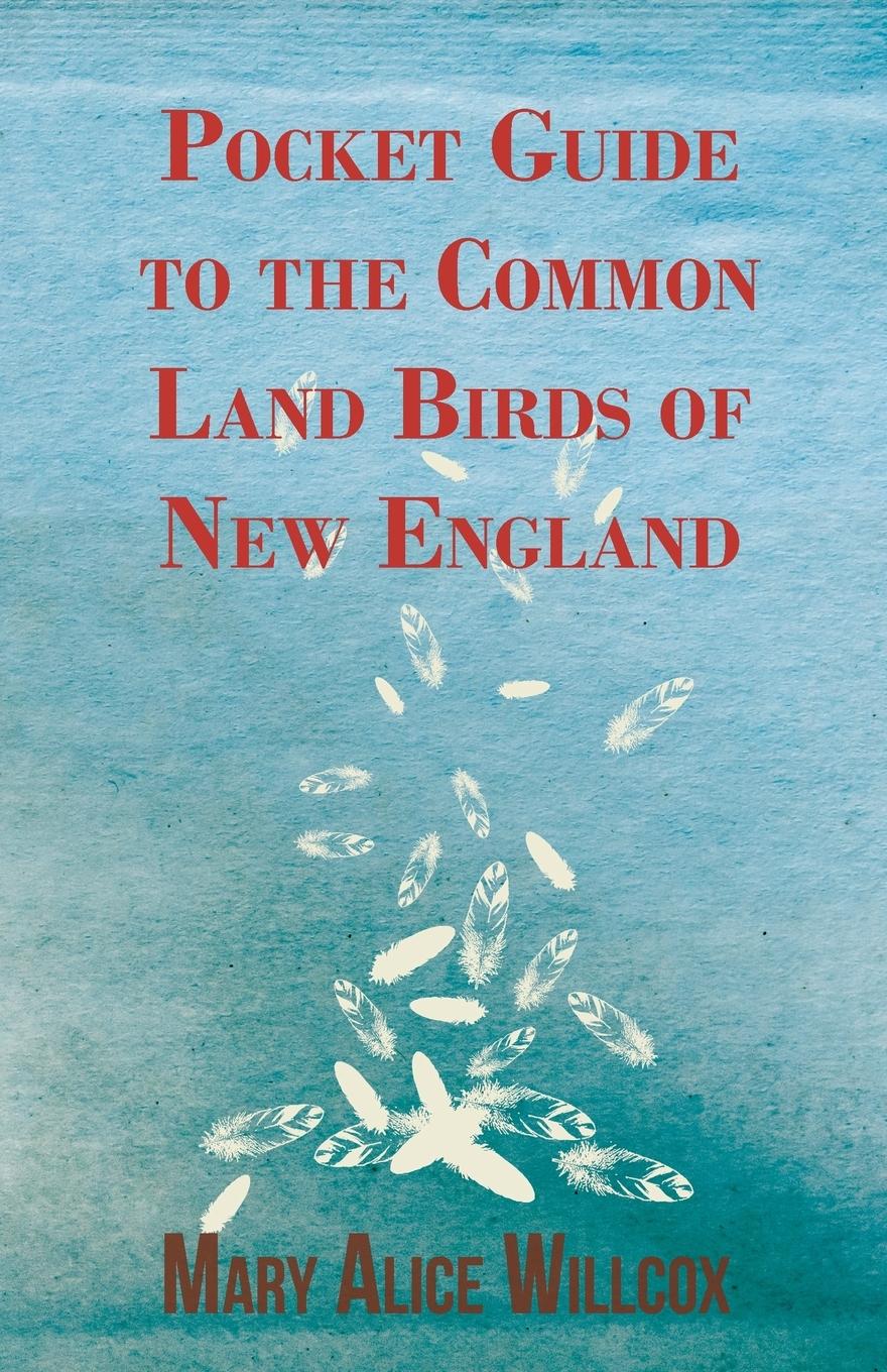 Vorderes Coverbild Pocket Guide to the Common Land Birds of New England