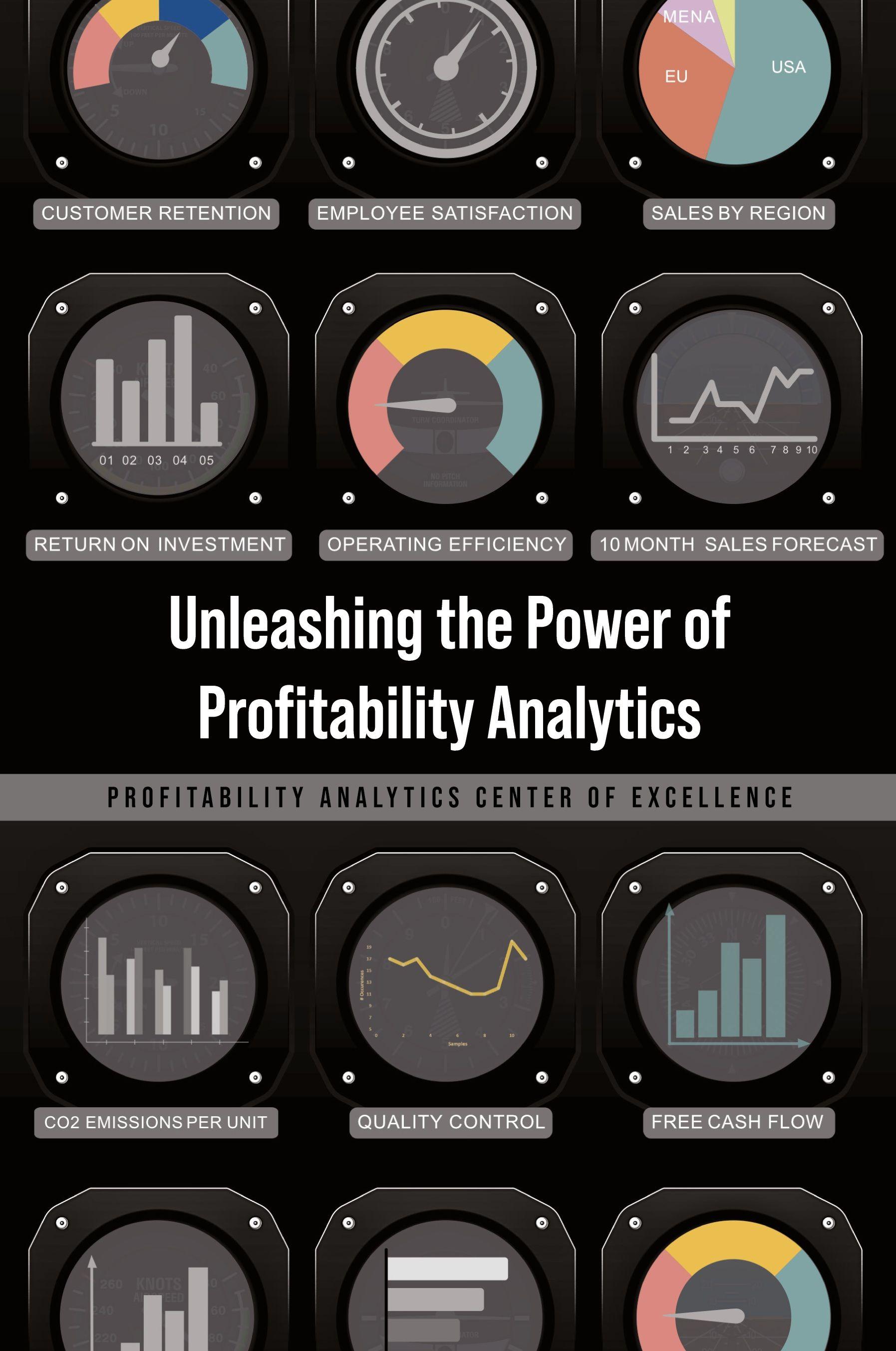 Vorderes Coverbild Unleashing the Power of Profitability Analytics