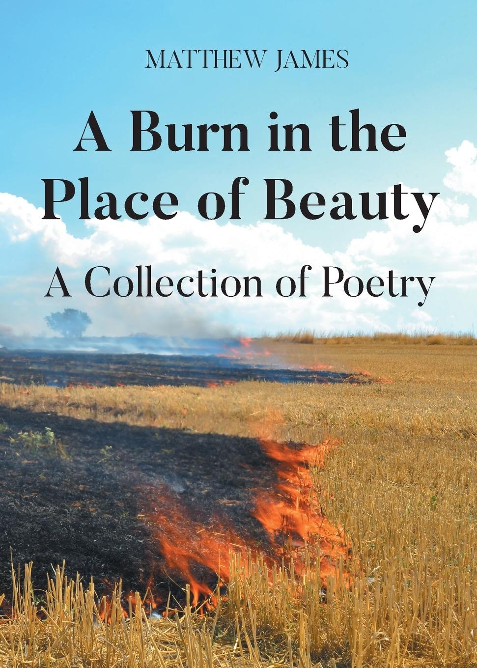 Vorderes Coverbild A Burn in the Place of Beauty