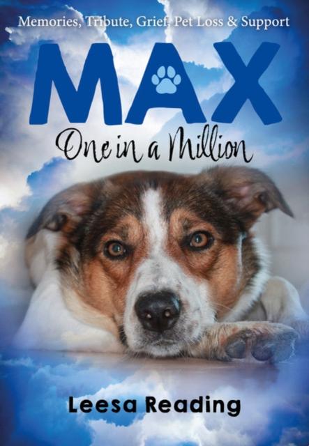 Vorderes Coverbild Max: One in a Million
