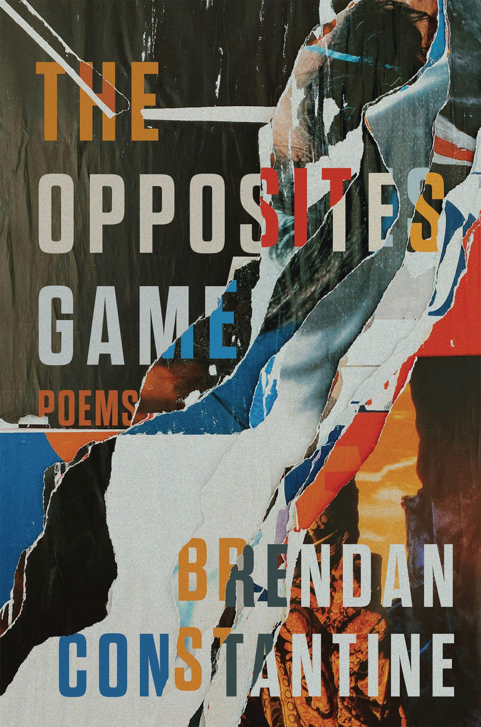 Vorderes Coverbild The Opposites Game