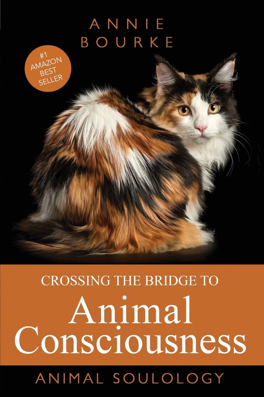 Vorderes Coverbild Crossing the Bridge to Animal Consciousness