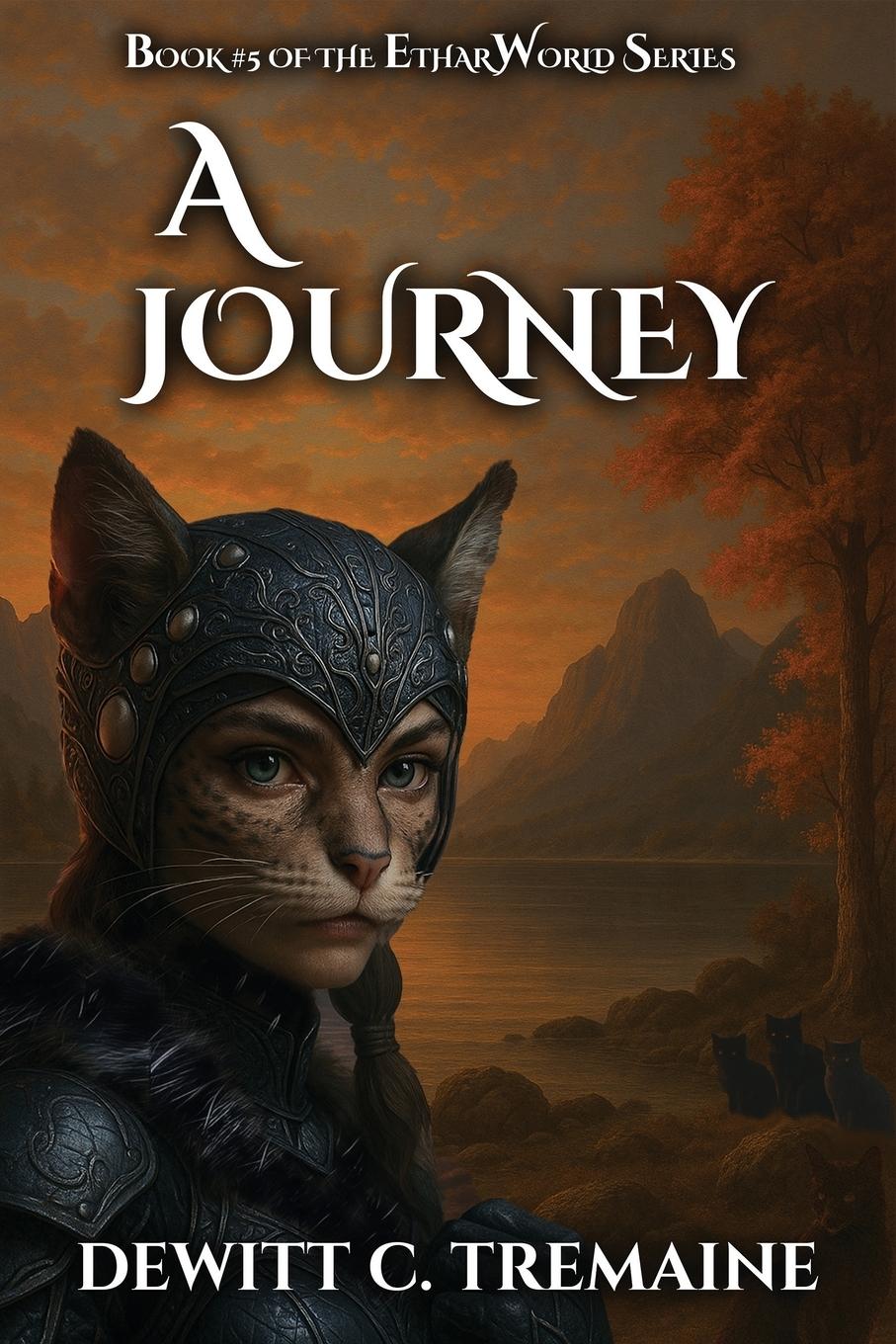 Vorderes Coverbild A Journey