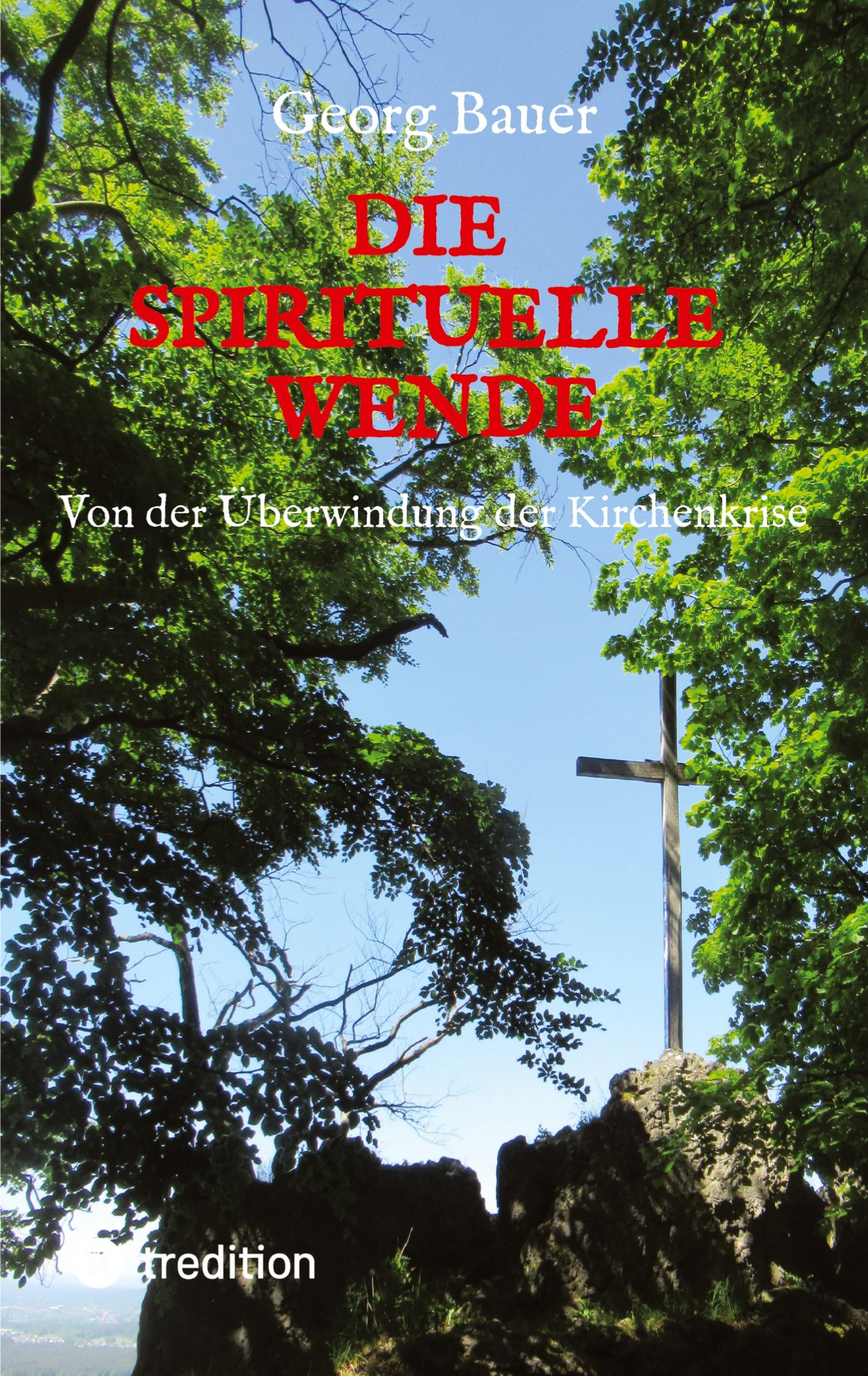 Vorderes Coverbild Die spirituelle Wende