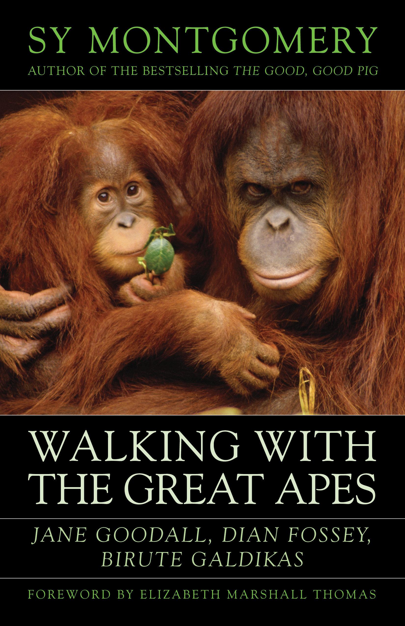 Vorderes Coverbild Walking with the Great Apes