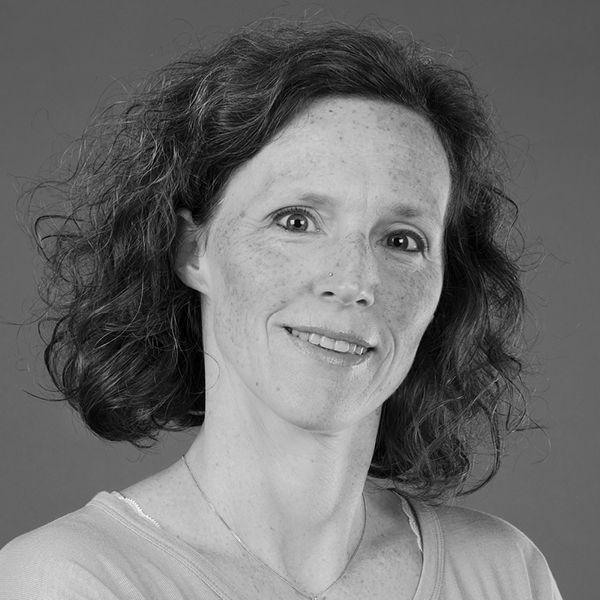 Autorenbild Die Landtagskrokodile 1. Urzeitknochen in Gefahr