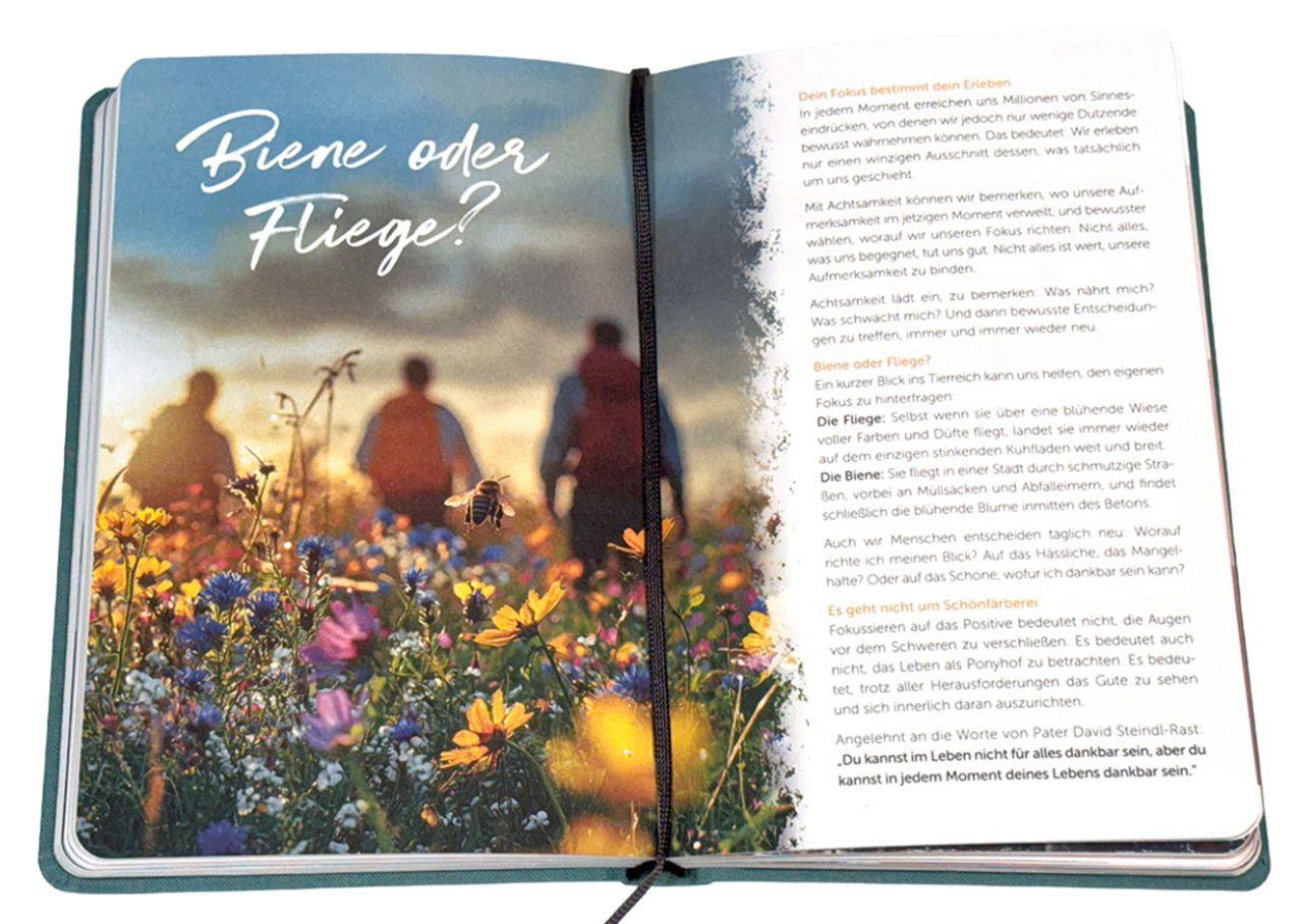 Beispielinhalt (Bild) Mein Weg - Meine Reise