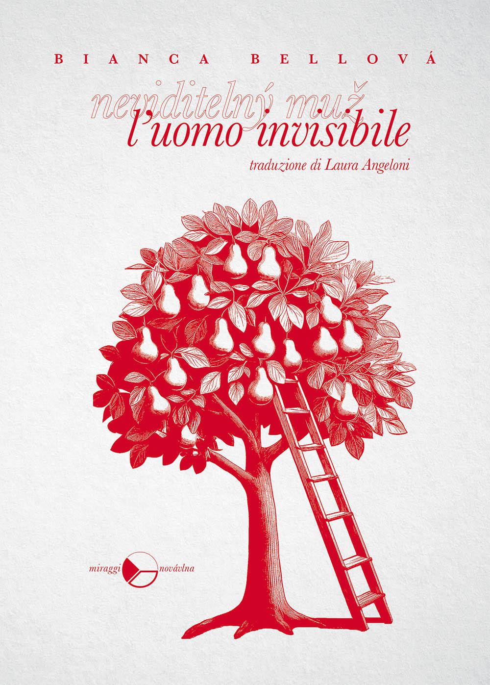 Vorderes Coverbild L' uomo invisibile