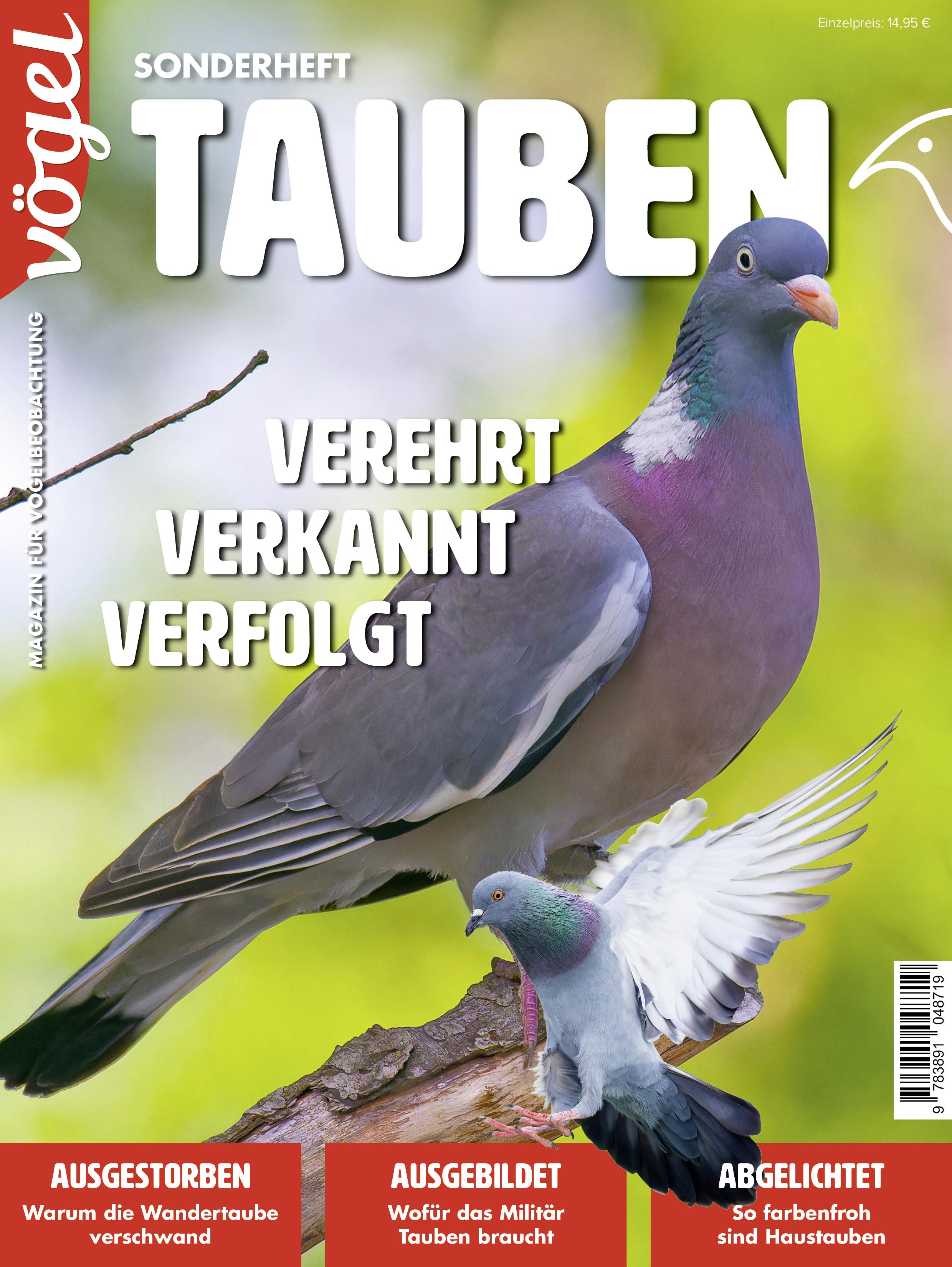 Vorderes Coverbild Tauben
