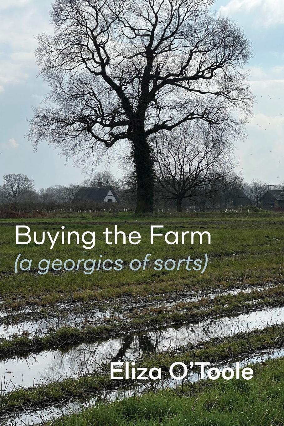 Vorderes Coverbild Buying the Farm