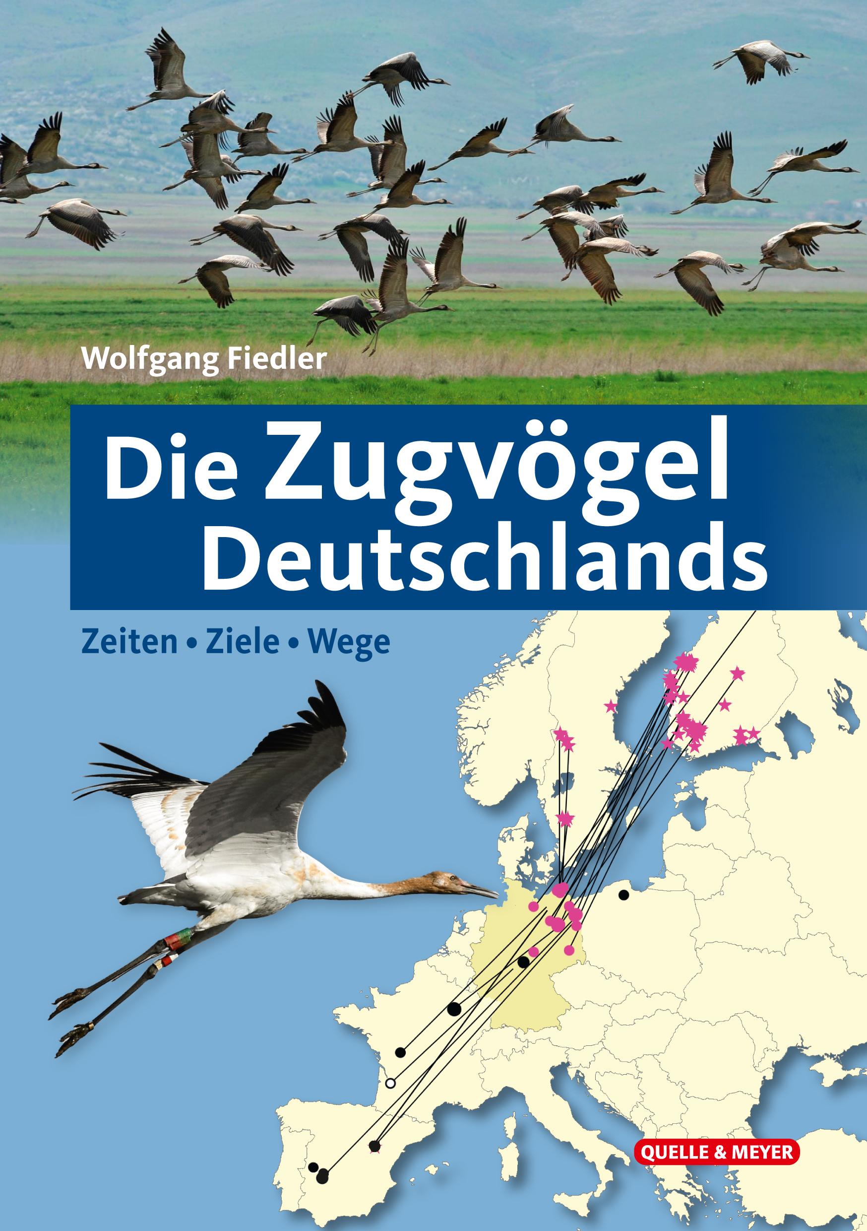 Vorderes Coverbild Die Zugvögel Deutschlands