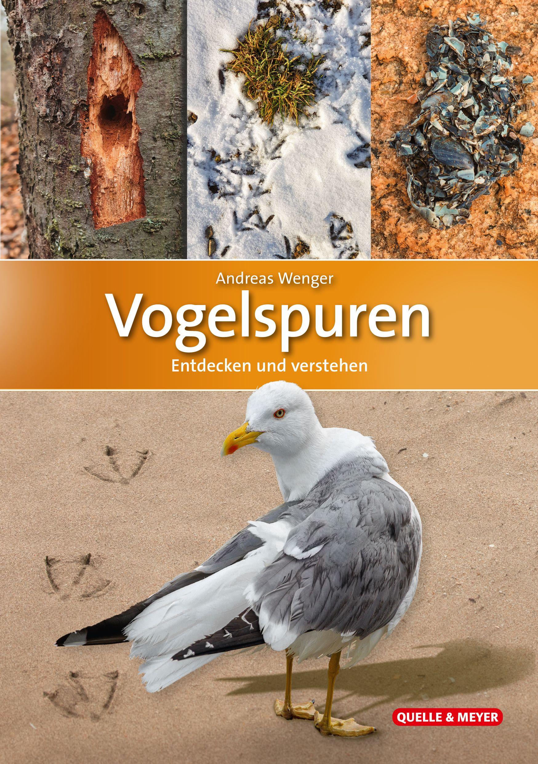 Vorderes Coverbild Vogelspuren