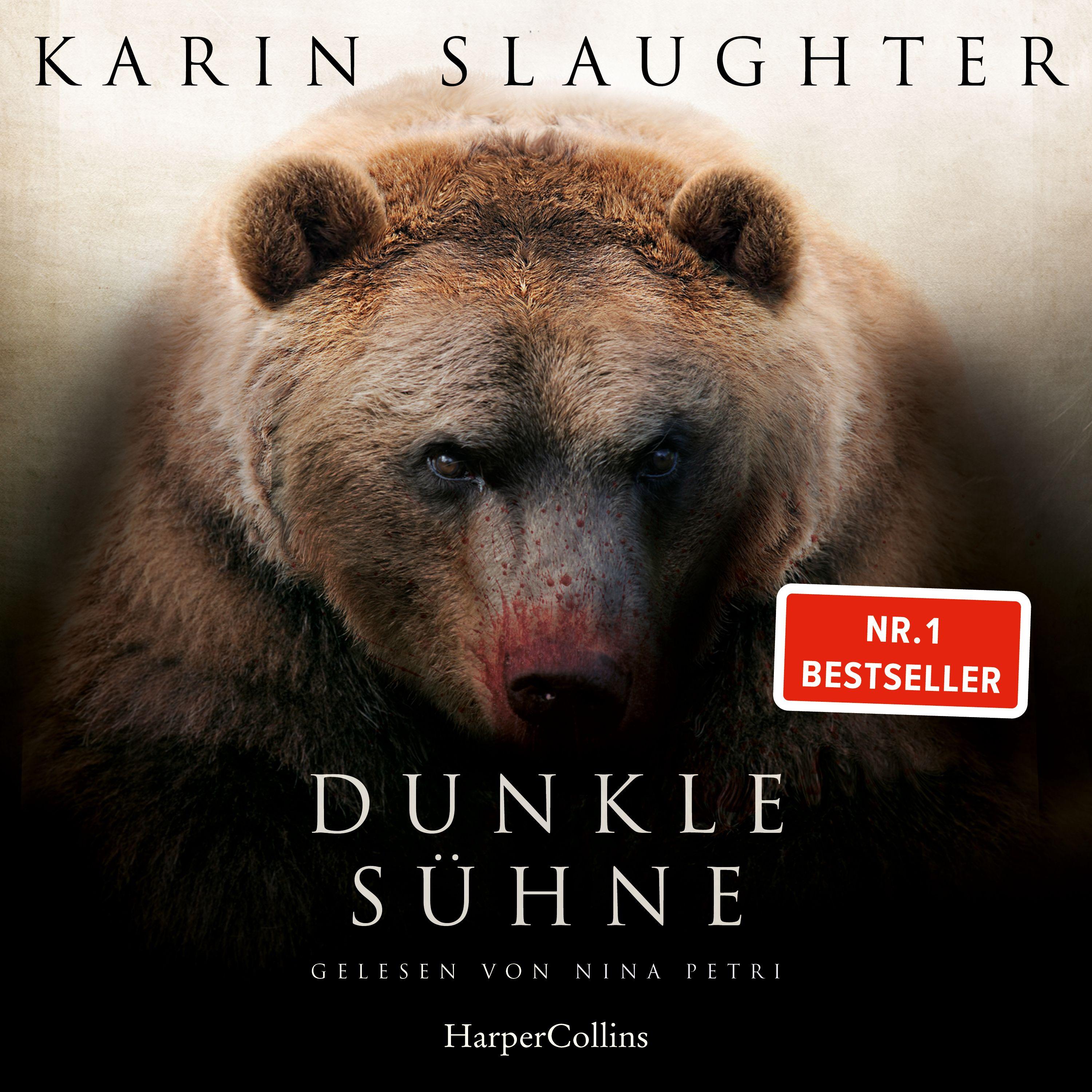 Vorderes Coverbild Dunkle Sühne