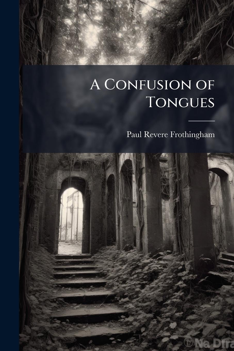 Vorderes Coverbild A Confusion of Tongues