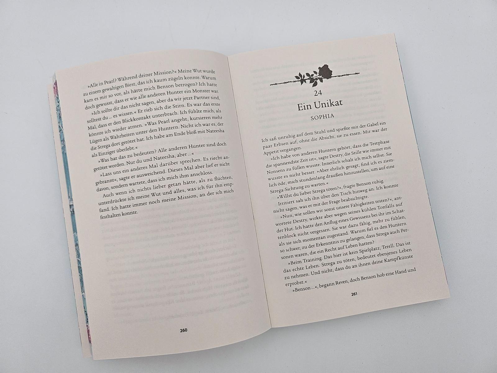 Beispielinhalt (Bild) Darkest Reign - Im Bann der Hexe