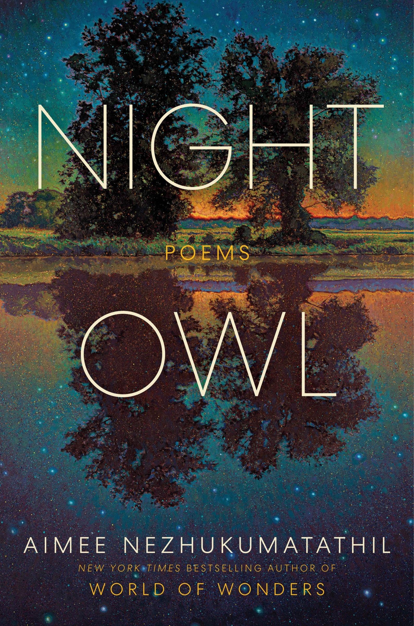 Vorderes Coverbild Night Owl