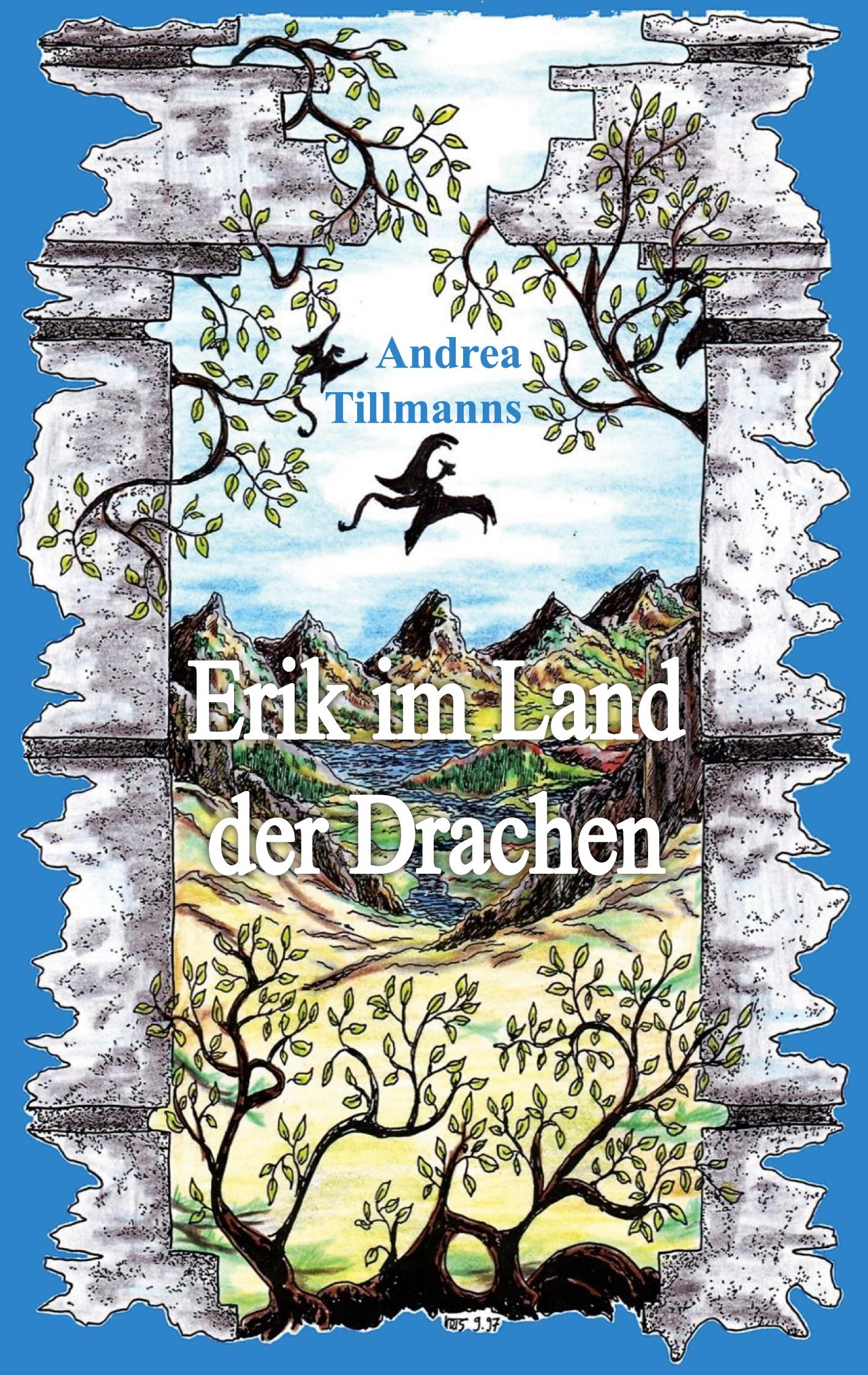 Vorderes Coverbild Erik im Land der Drachen