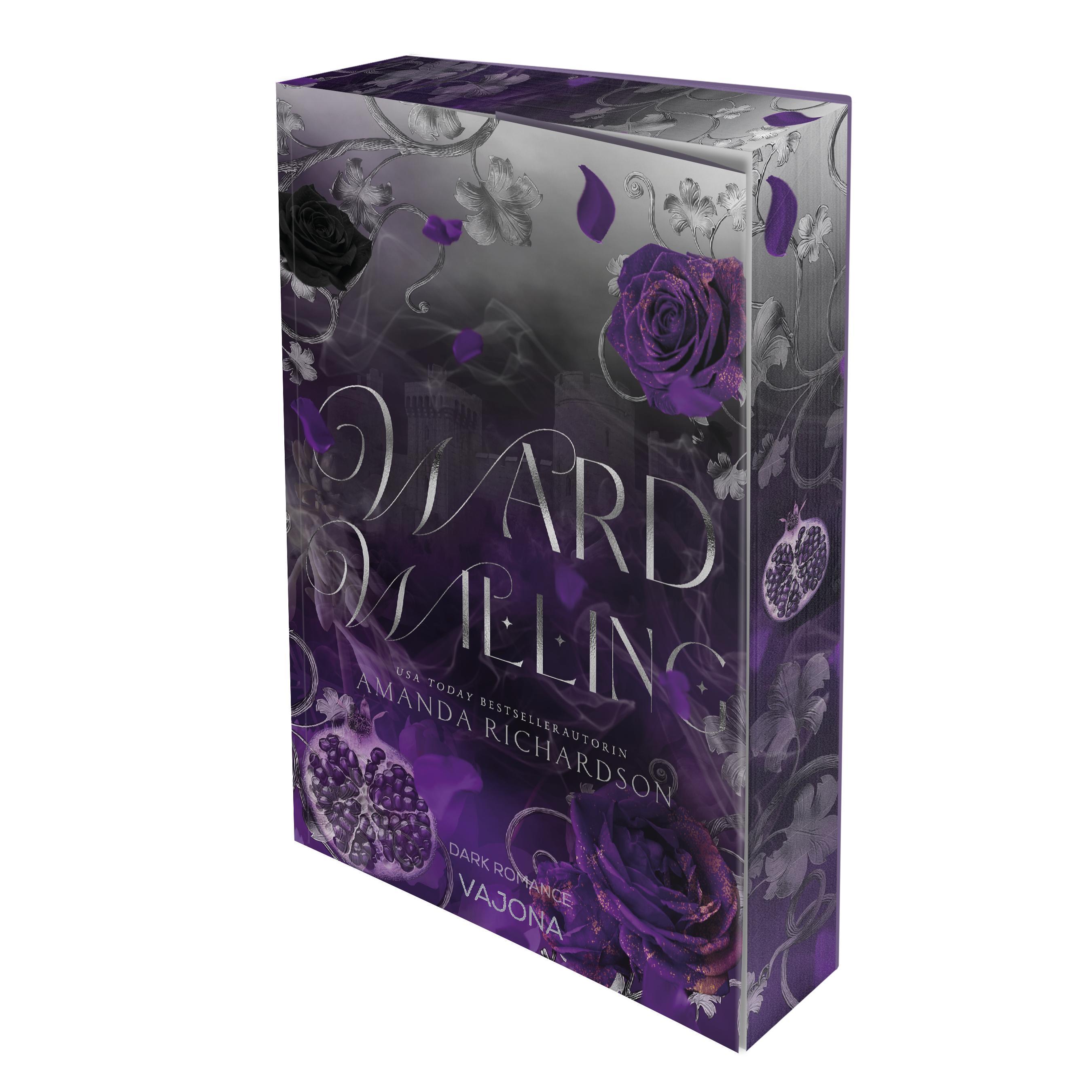Vorderes Coverbild Ward Willing (Ravaged Castle Band 3)