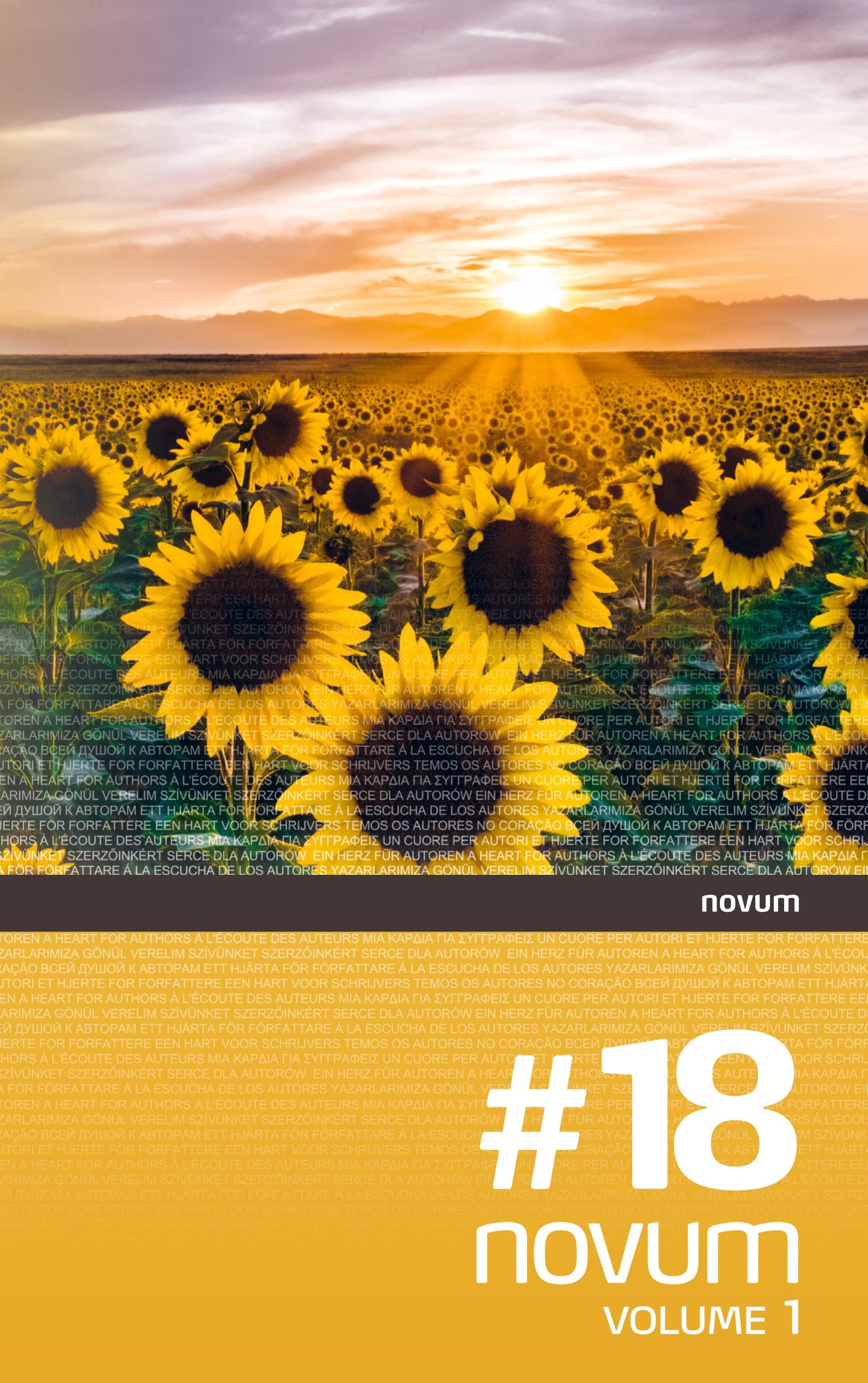 Vorderes Coverbild novum #18