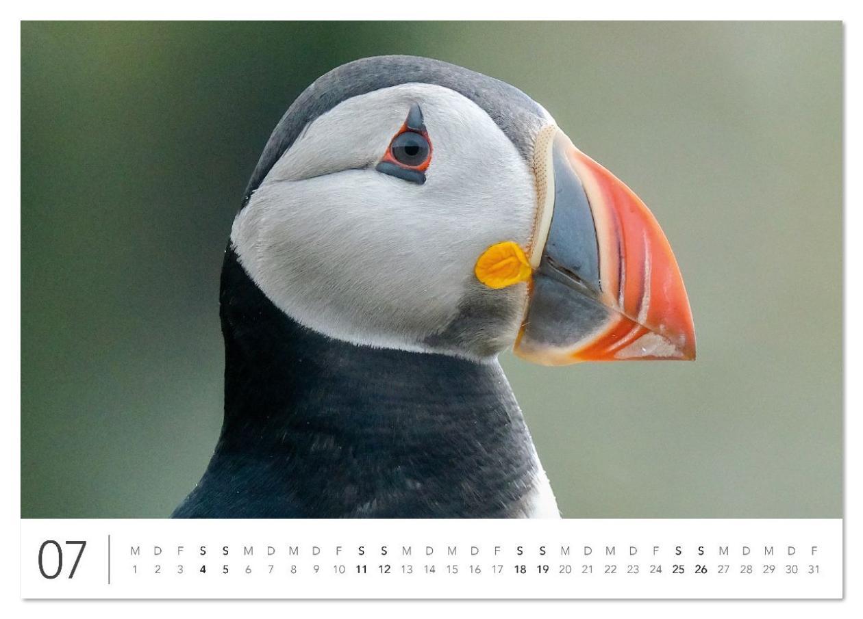 Beispielinhalt (Bild) Magisches Island (Tischkalender 2026 DIN A5 quer), CALVENDO Monatskalender