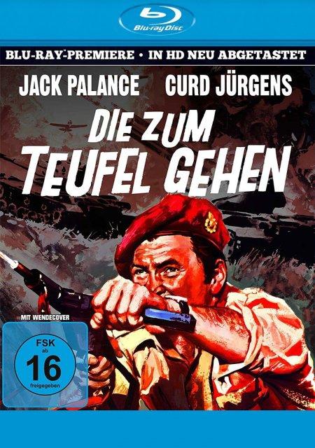Vorderes Coverbild Die zum Teufel gehen