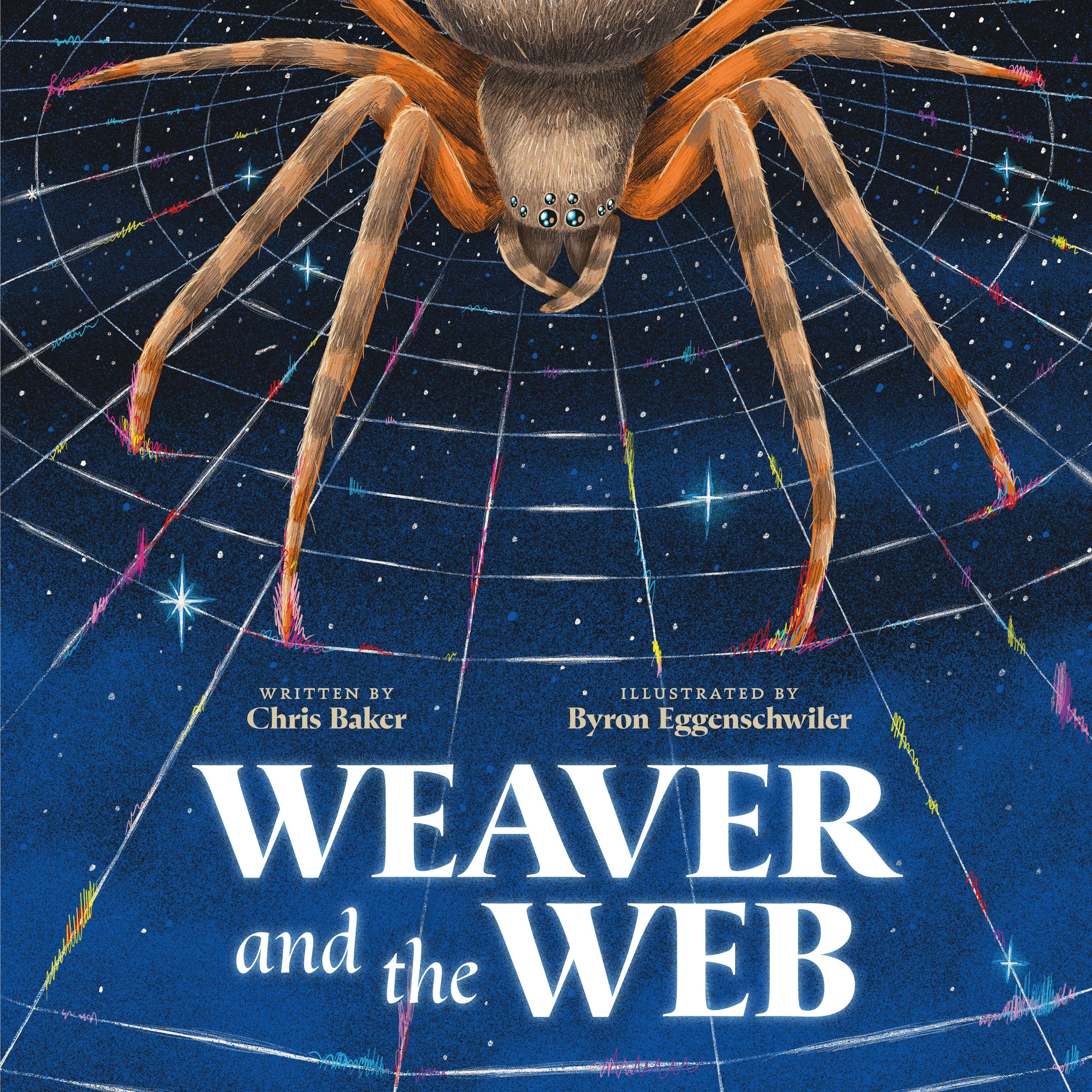 Vorderes Coverbild Weaver and the Web