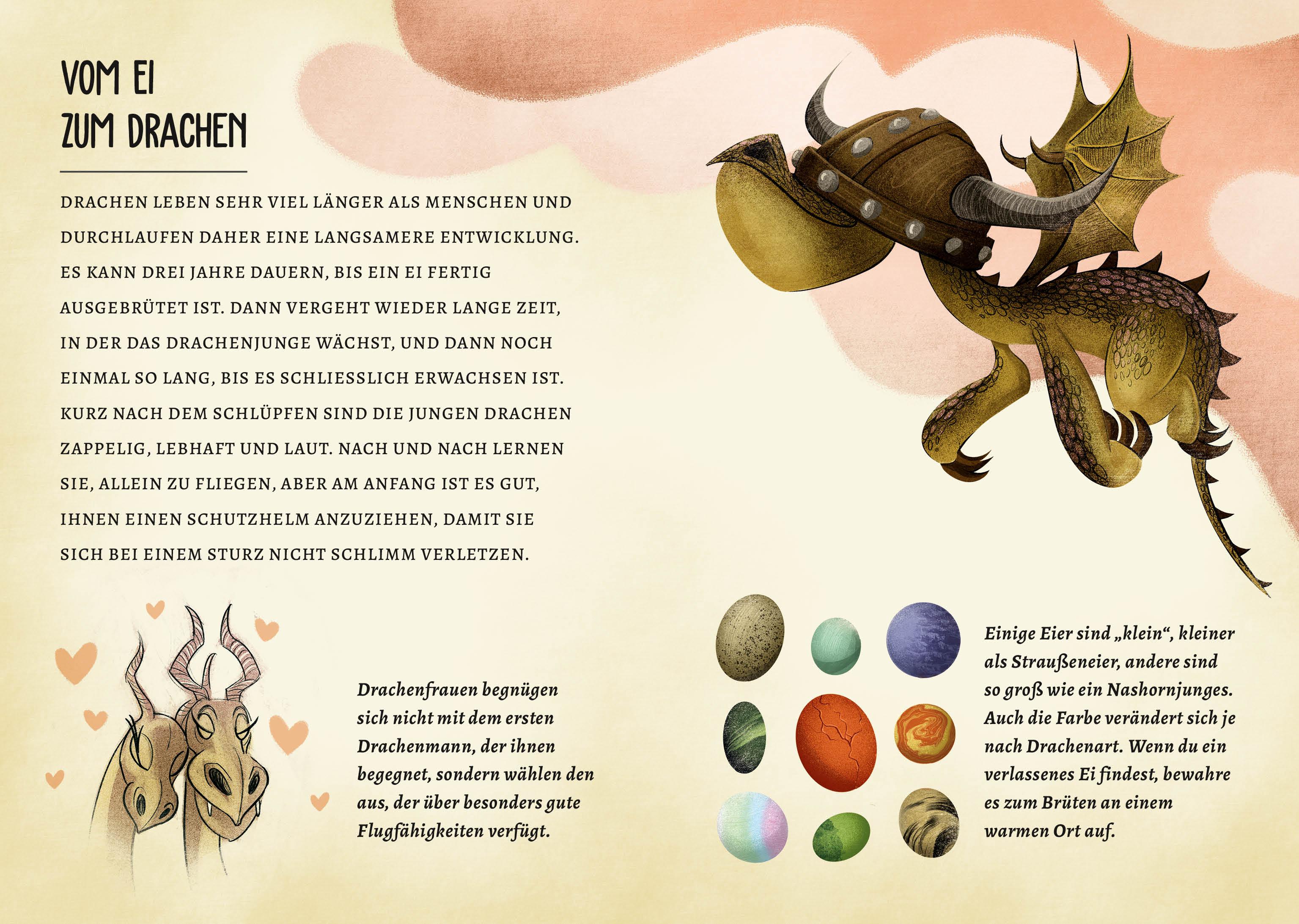 Beispielinhalt (Bild) Drachen