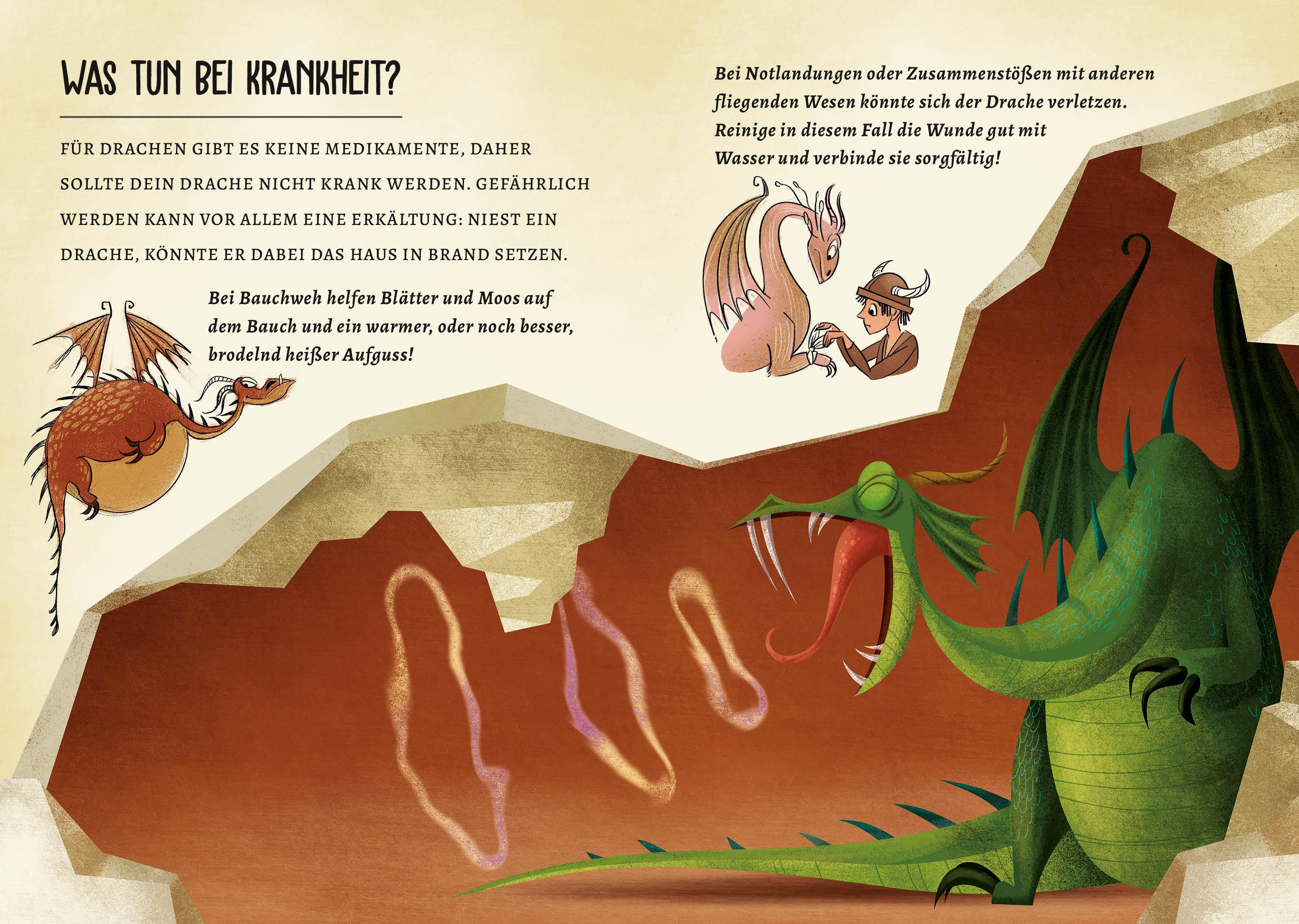 Beispielinhalt (Bild) Drachen