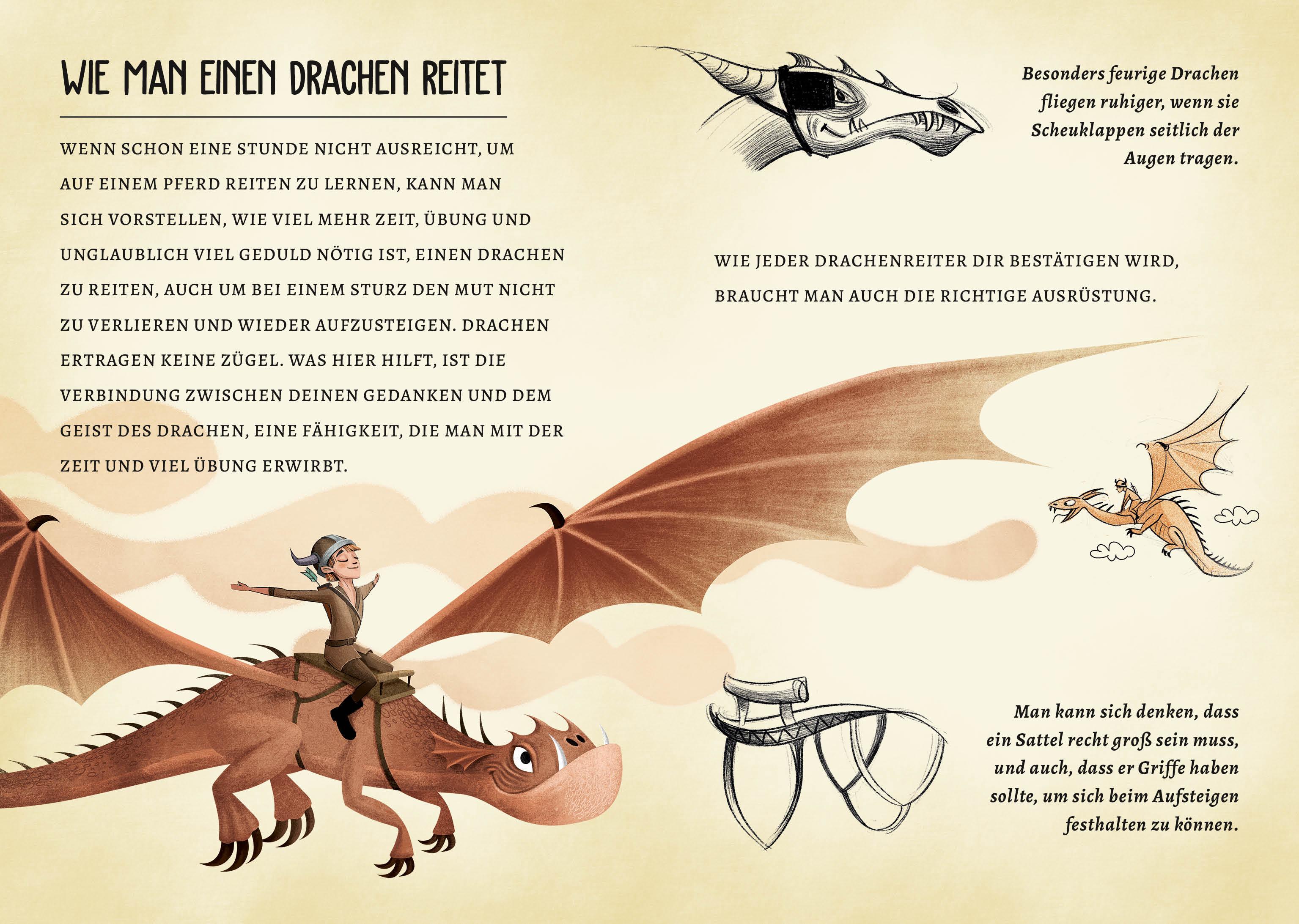 Beispielinhalt (Bild) Drachen