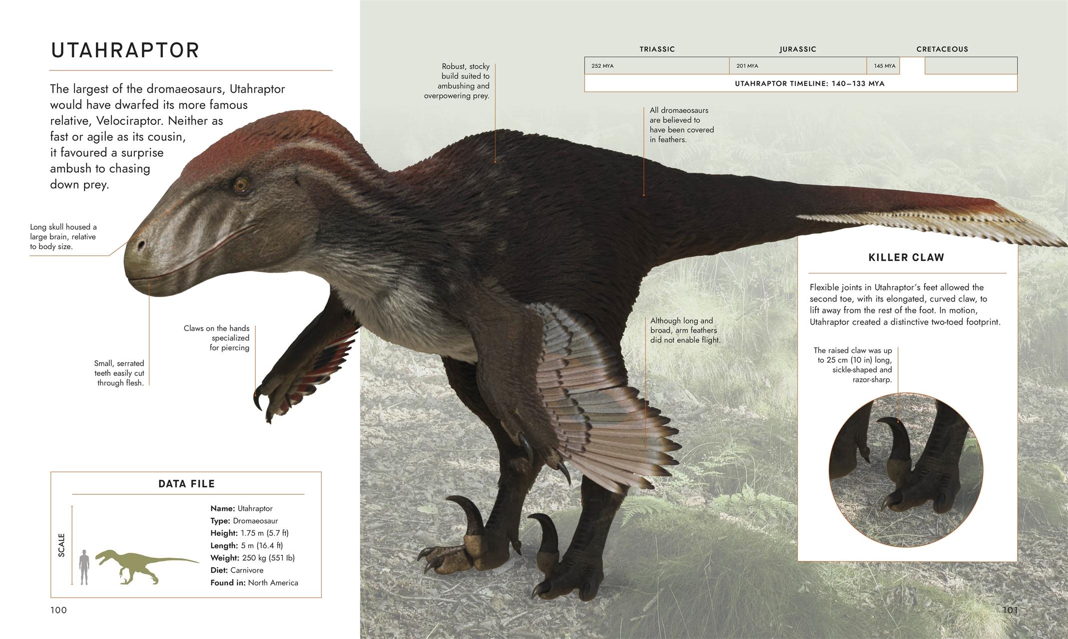 Beispielinhalt (Bild) Unter Dinos - Geheimnisse der Urzeit
