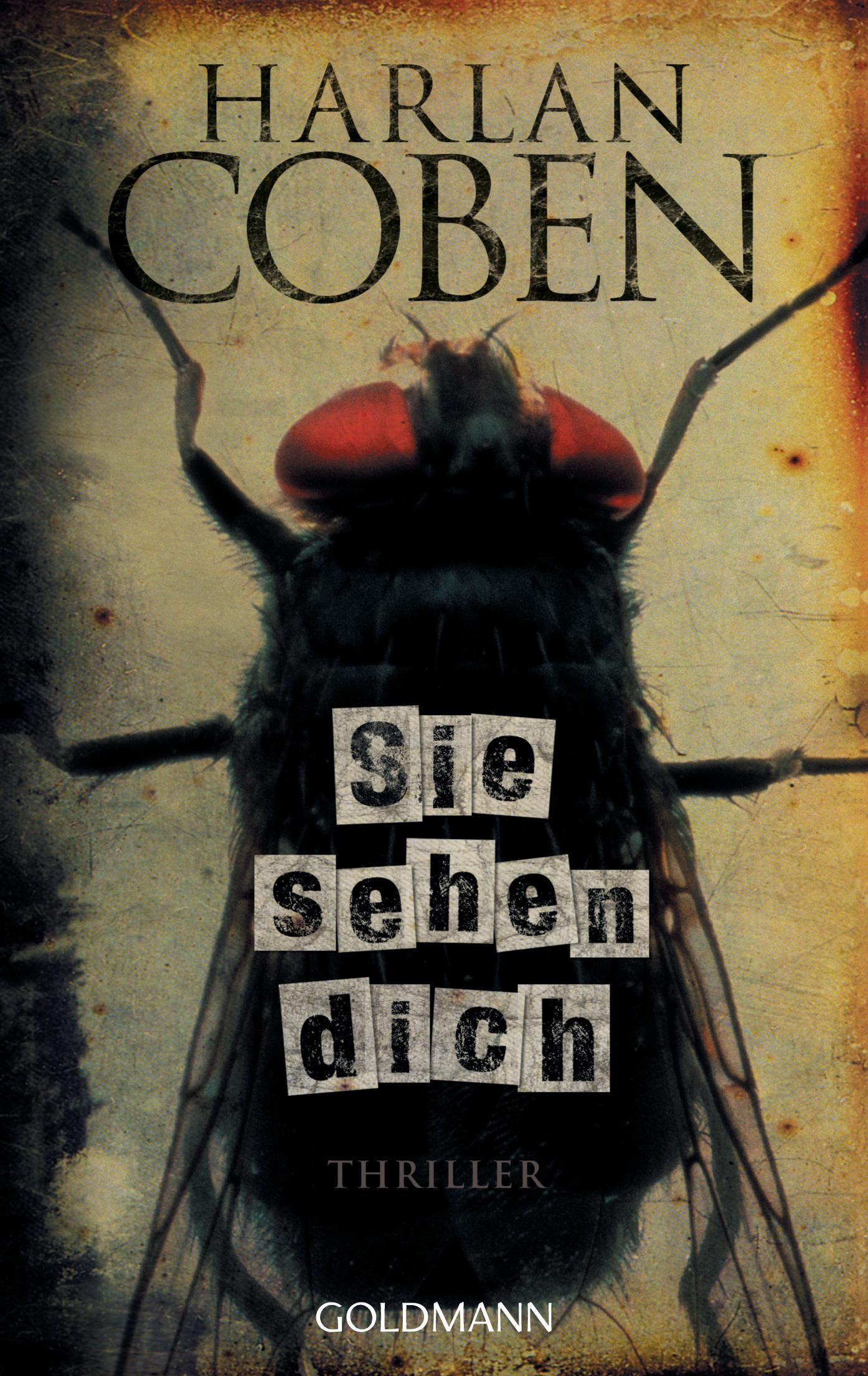 Vorderes Coverbild Sie sehen dich