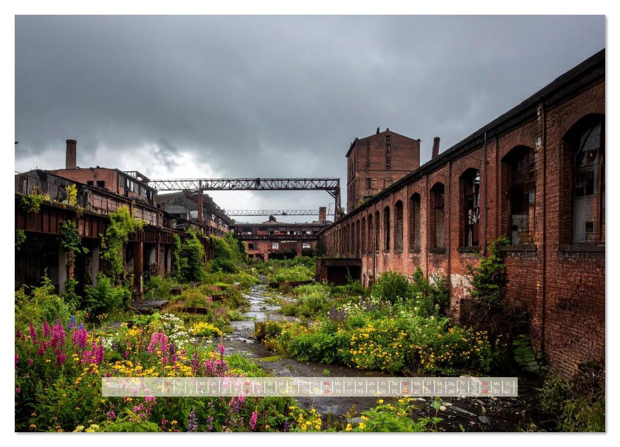 Beispielinhalt (Bild) Der morbide Charme (hochwertiger Premium Wandkalender 2026 DIN A2 quer), Kunstdruck in Hochglanz