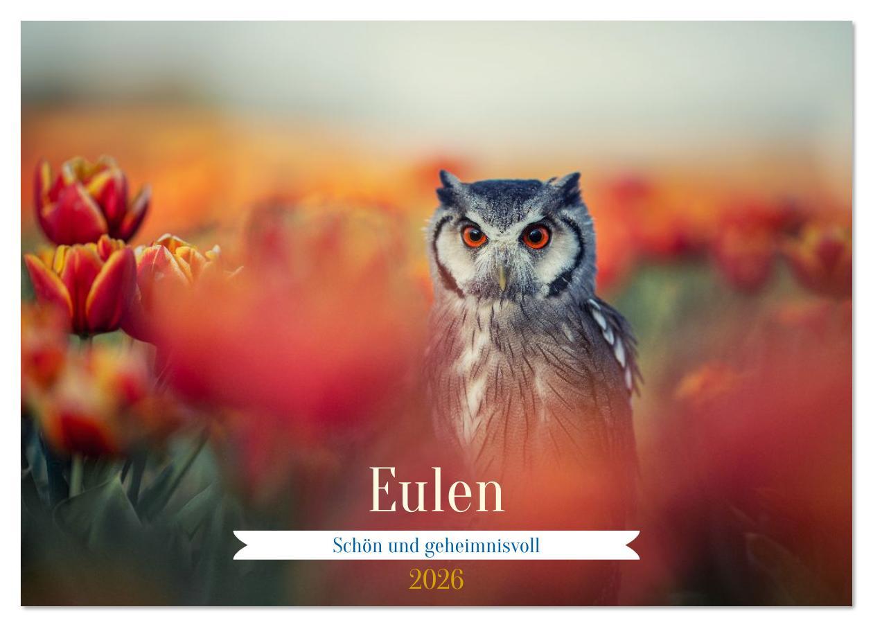 Vorderes Coverbild Eulen - schön und geheimnisvoll (Tischkalender 2026 DIN A5 quer), CALVENDO Monatskalender
