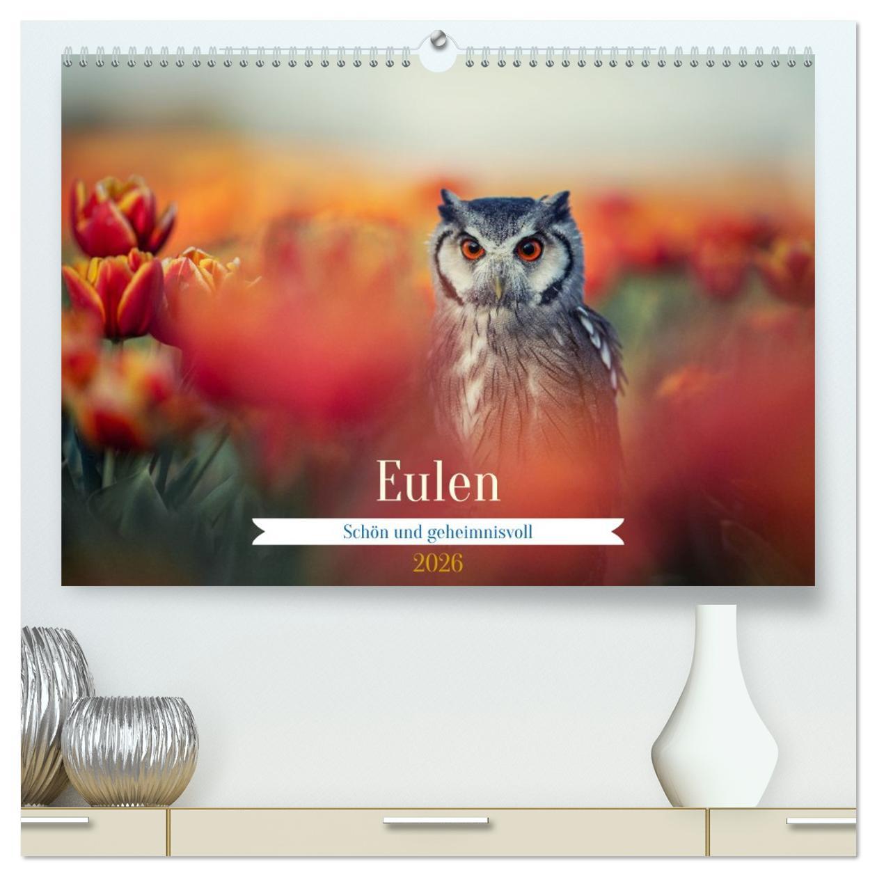 Vorderes Coverbild Eulen - schön und geheimnisvoll (hochwertiger Premium Wandkalender 2026 DIN A2 quer), Kunstdruck in Hochglanz