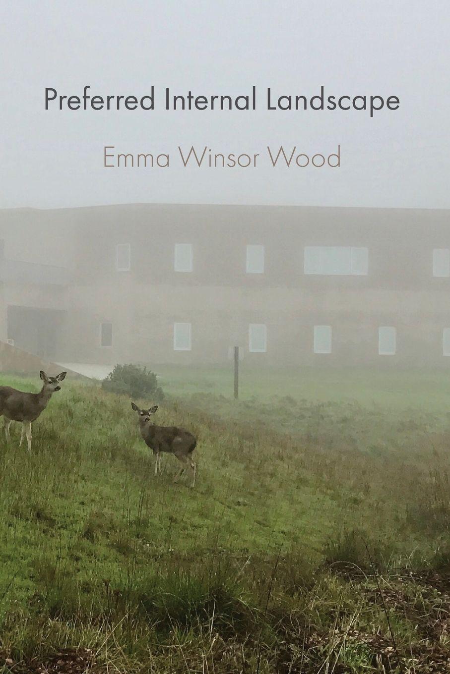 Vorderes Coverbild Preferred Internal Landscape