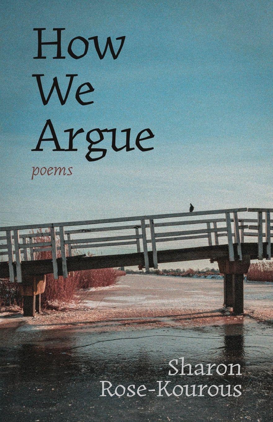 Vorderes Coverbild How We Argue
