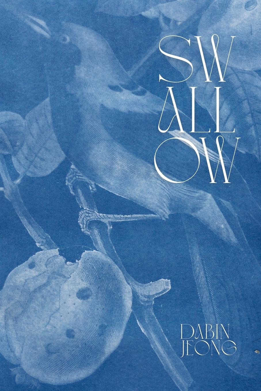 Vorderes Coverbild Swallow