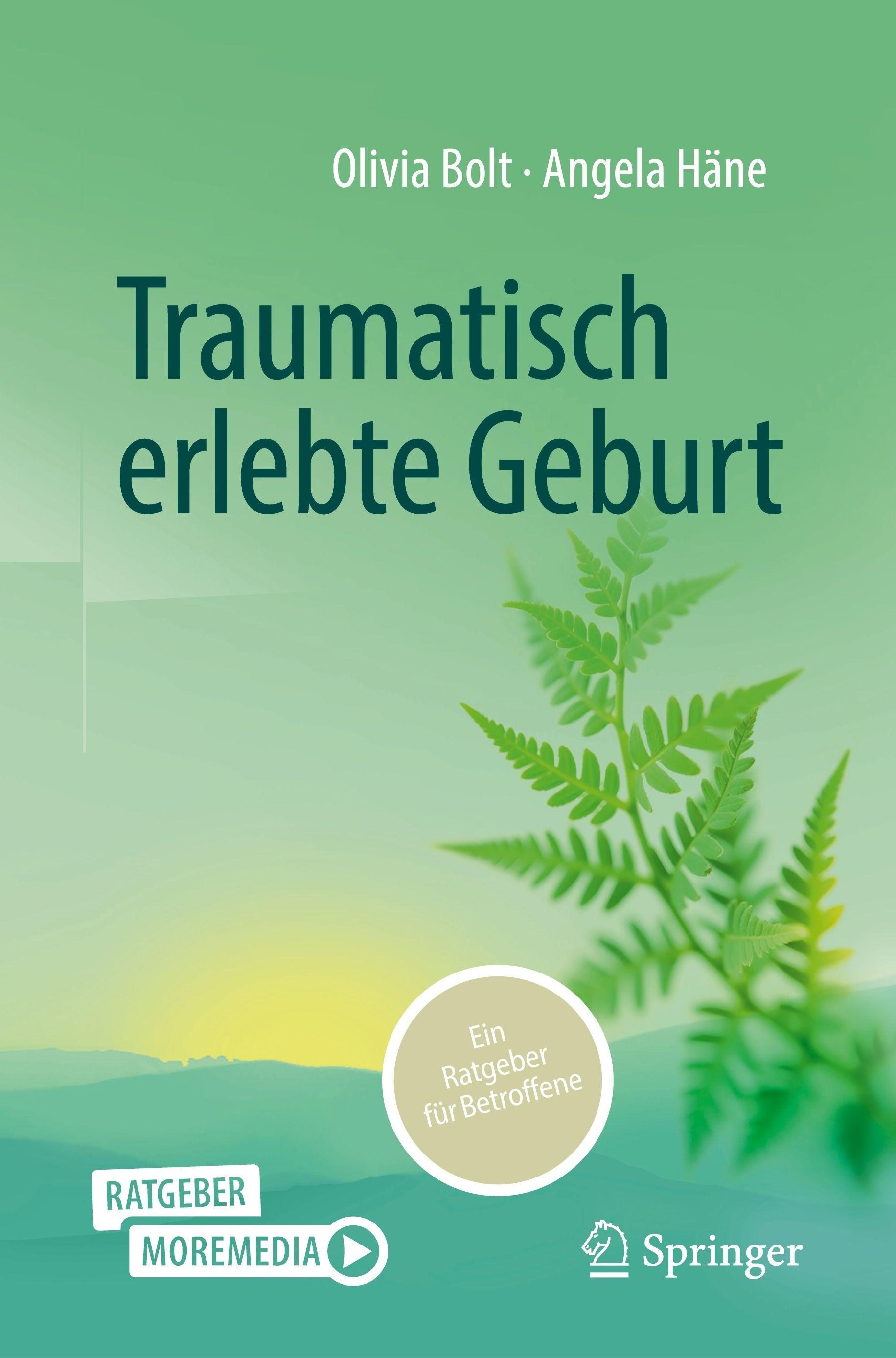 Vorderes Coverbild Traumatisch erlebte Geburt