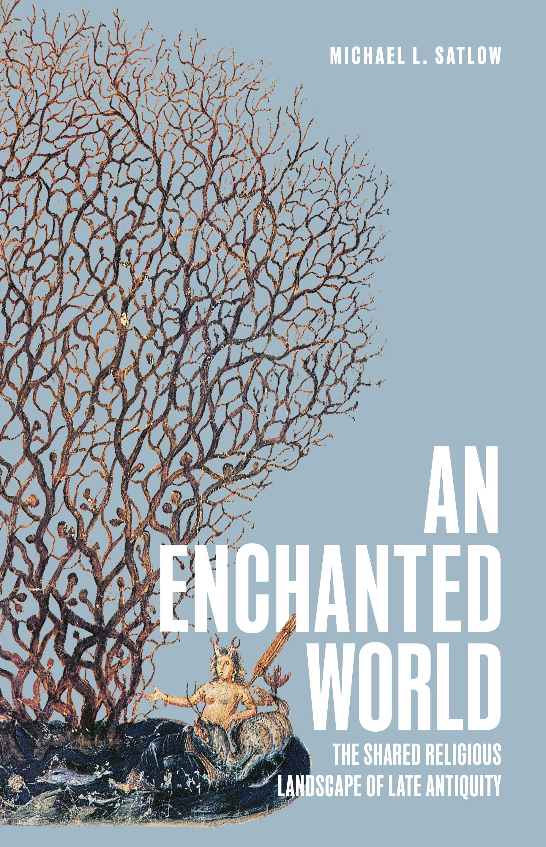 Vorderes Coverbild An Enchanted World