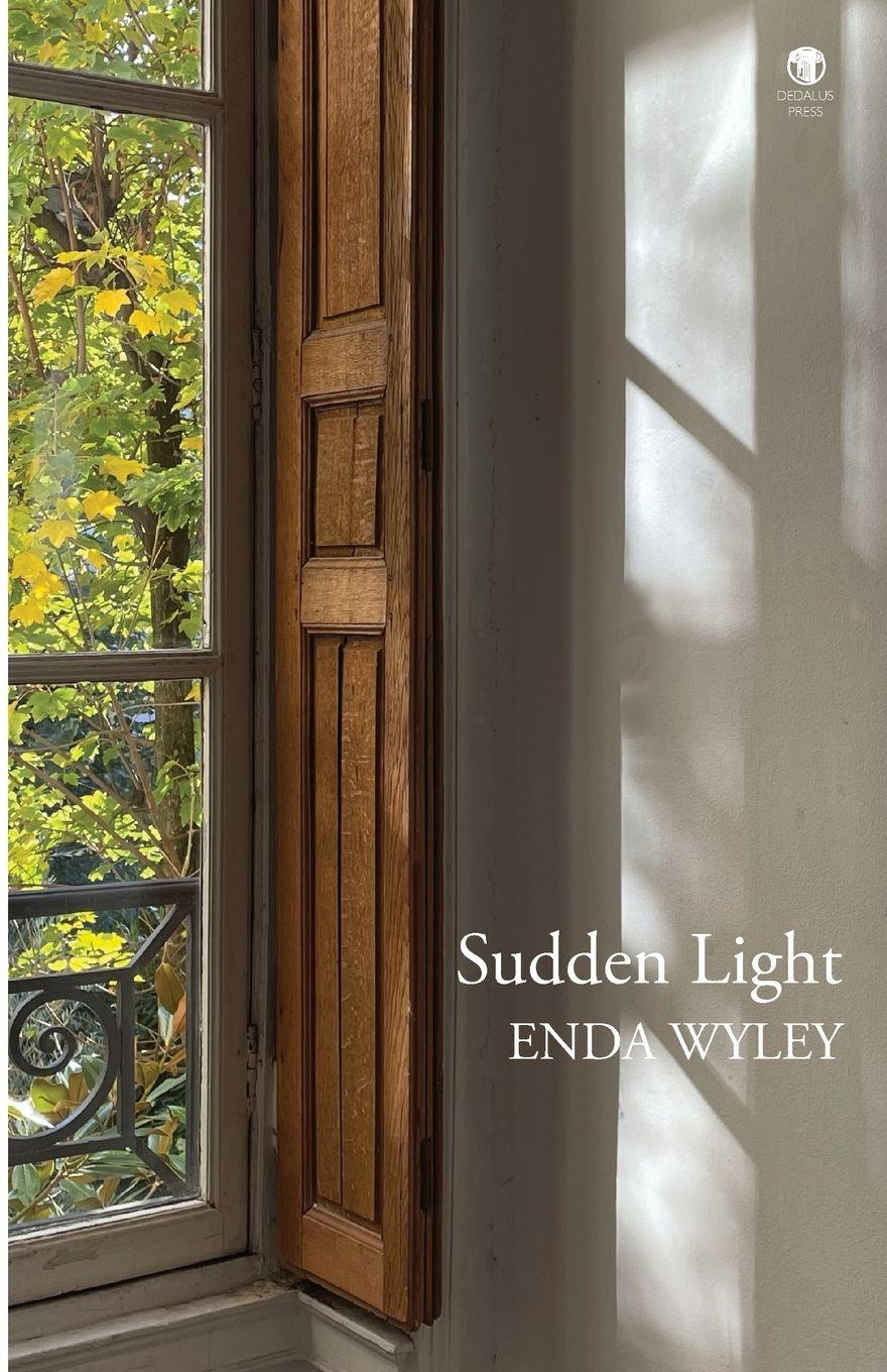 Vorderes Coverbild Sudden Light
