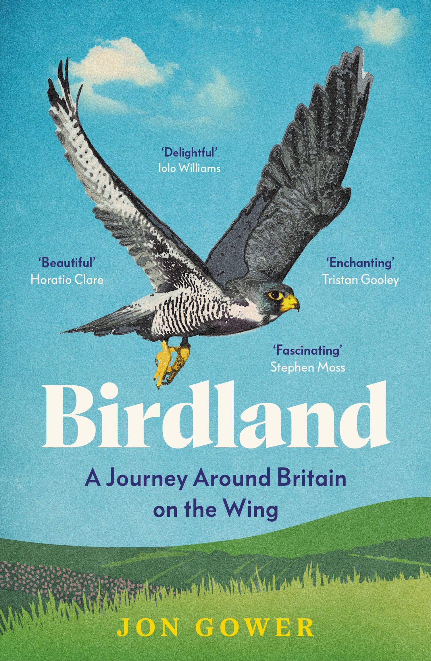 Vorderes Coverbild Birdland