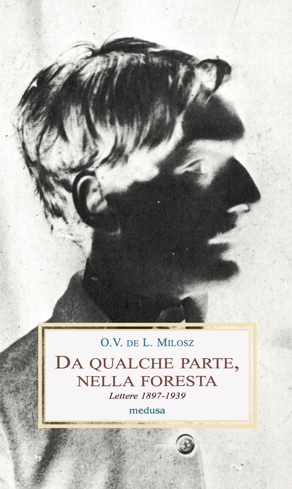 Vorderes Coverbild Da qualche parte, nella foresta. Lettere 1897-1939