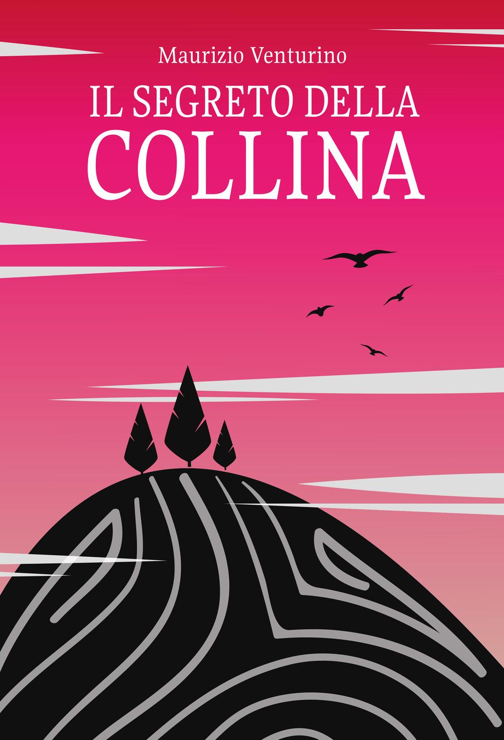Vorderes Coverbild Il segreto della collina
