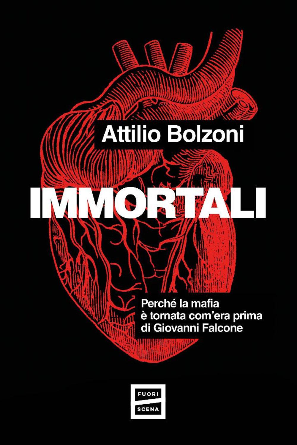 Vorderes Coverbild Immortali