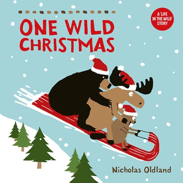 Vorderes Coverbild One Wild Christmas (New Edition)
